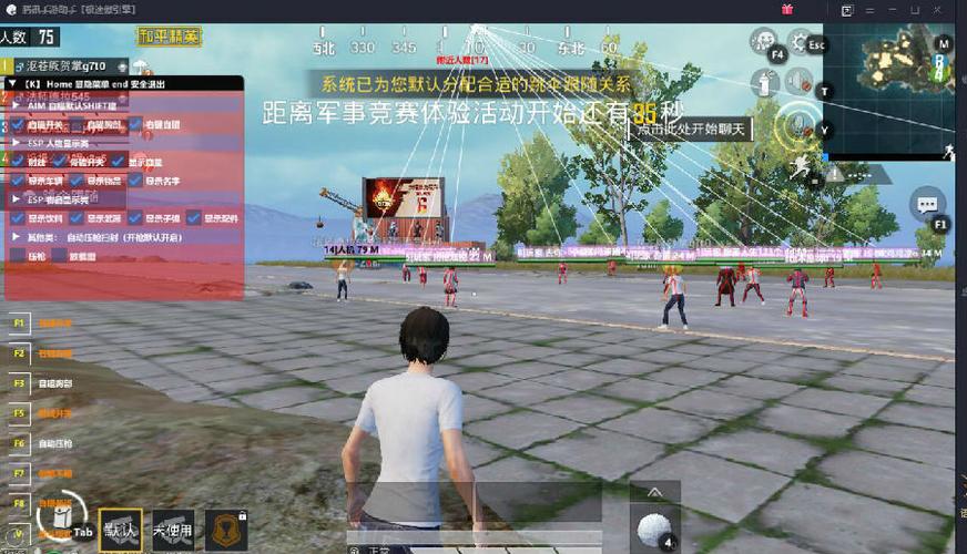 突破游戏界限：探索和平精英辅助工具的神秘世