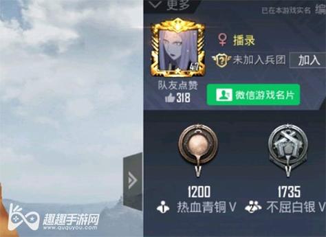 和平精英「青蛙直装」辅助，支持地铁